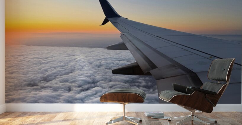 Pillowalk over San Francisco-Spring 2025 Wall Murals