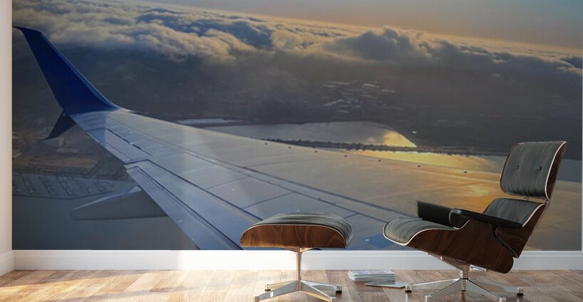 Wings over SF: Above the Quiet Kingdom Wall Murals