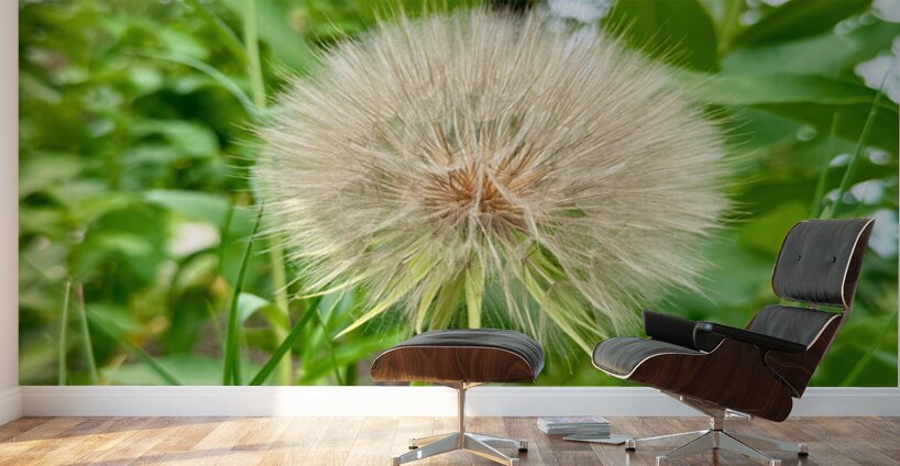 The Last Wishkeeper: Holding Dreams Before the Wind Wall Murals