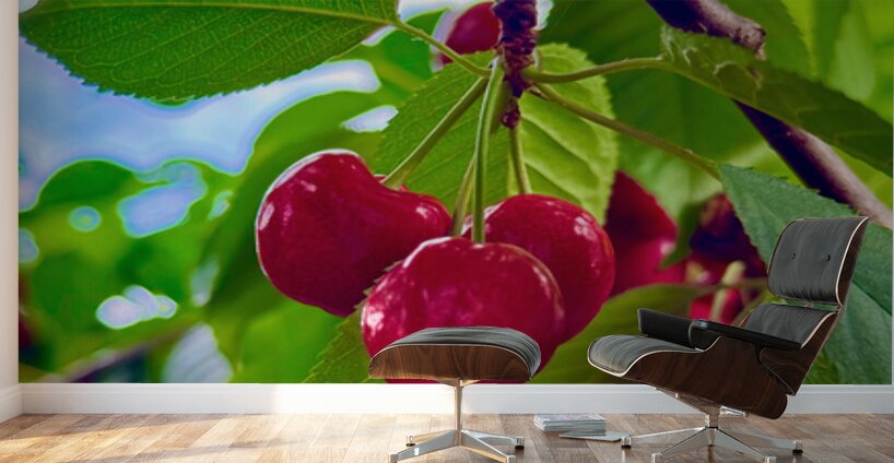 Ripening Moments Under Summer’s Veil Wall Murals