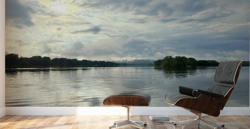 Between Earth and Ether Wall Murals