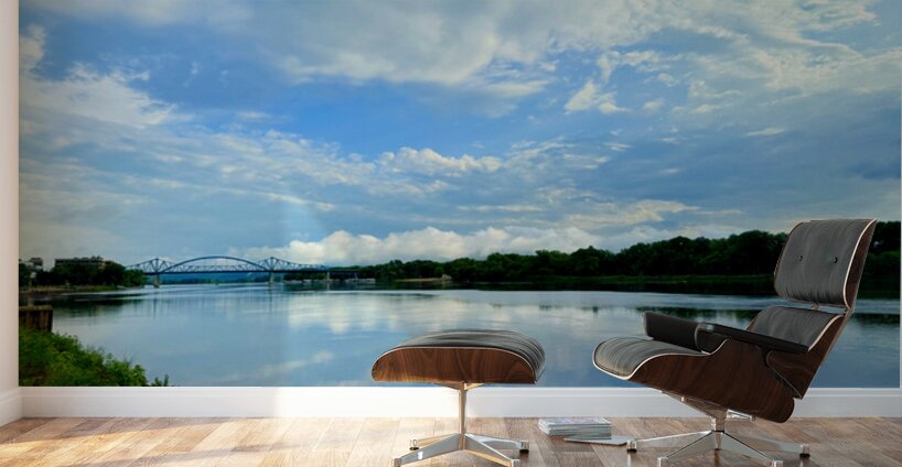 Reflections of a Sky We Once Knew Wall Murals