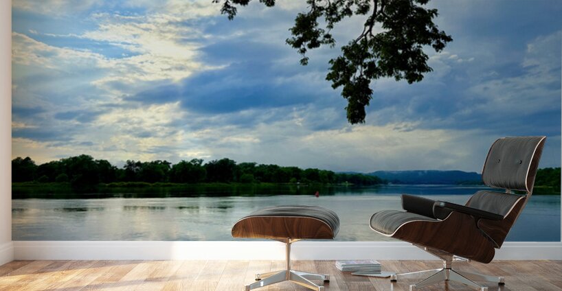 Veins of the Earth Voice of the Sky Wall Murals