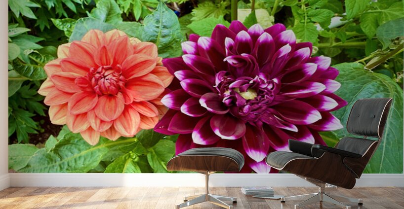 Nature’s Take on Balance and Beauty Wall Murals