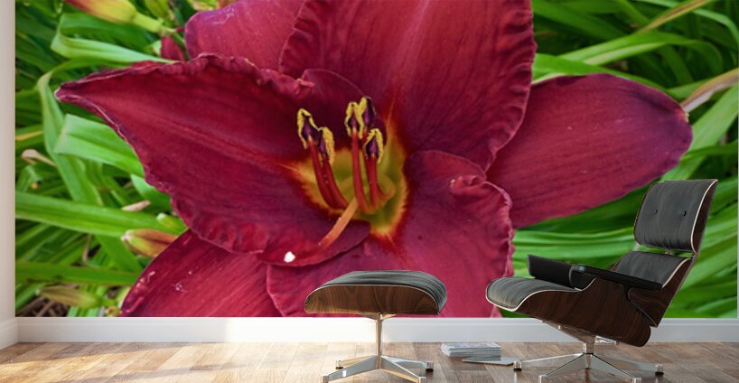 Garden Spotlight Wall Murals