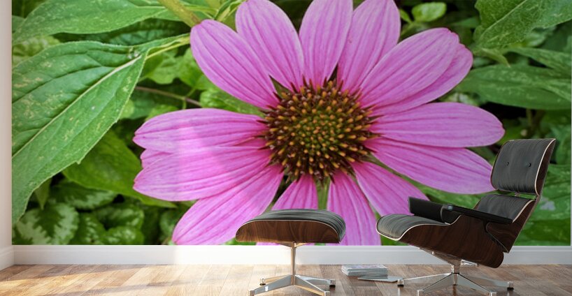 Heart of Summer Wall Murals