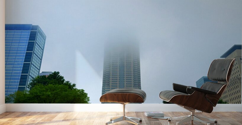 Skyline Veil Wall Murals