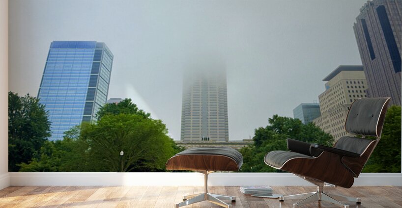 Skyscraper in the Mist Wall Murals