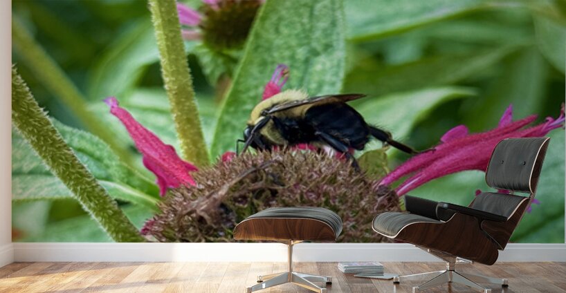 Fading Glory Last Harvest Wall Murals