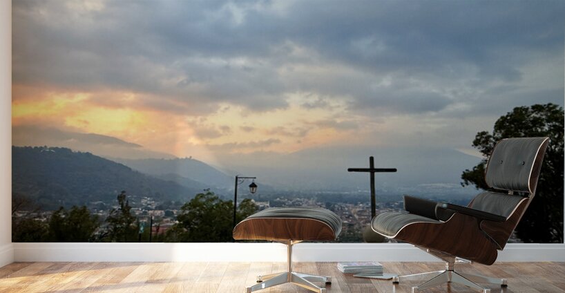 IMG 0504 Wall Murals