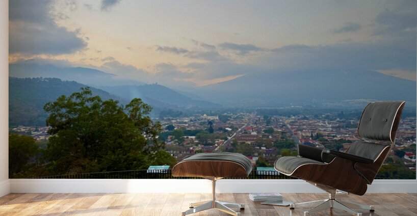 IMG 0460 Wall Murals