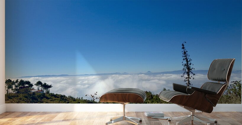 IMG 9119 Wall Murals