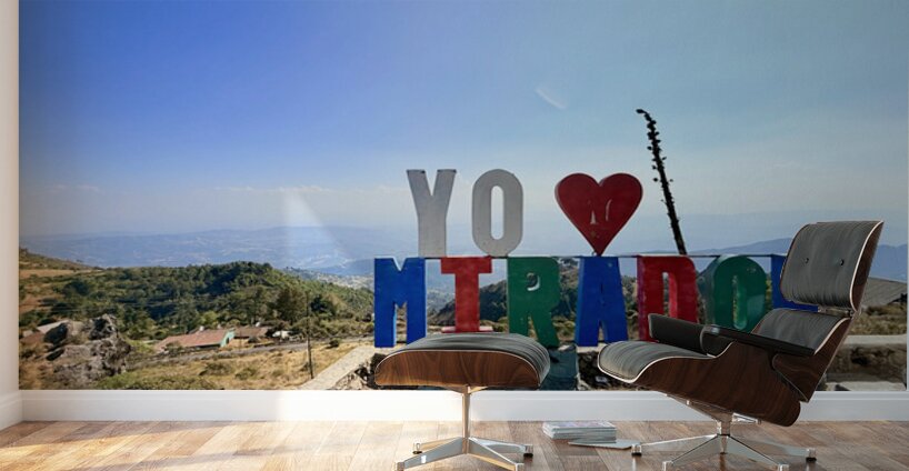 IMG 9703 Wall Murals