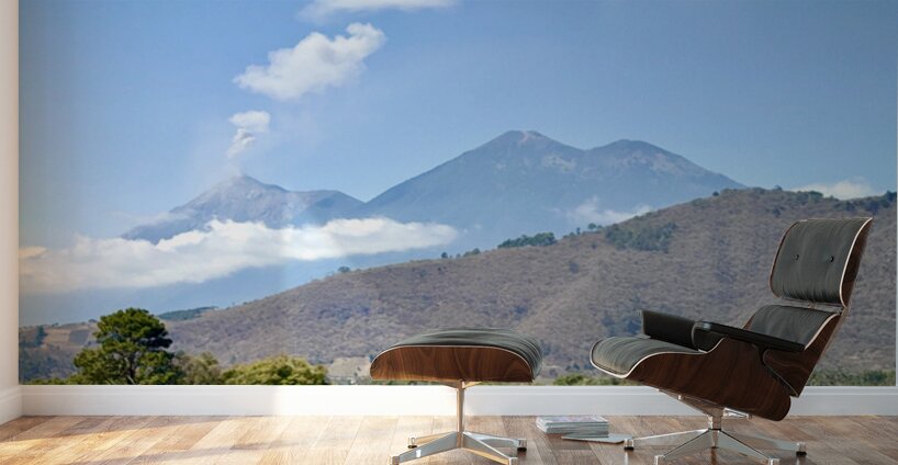 IMG 0088 Wall Murals