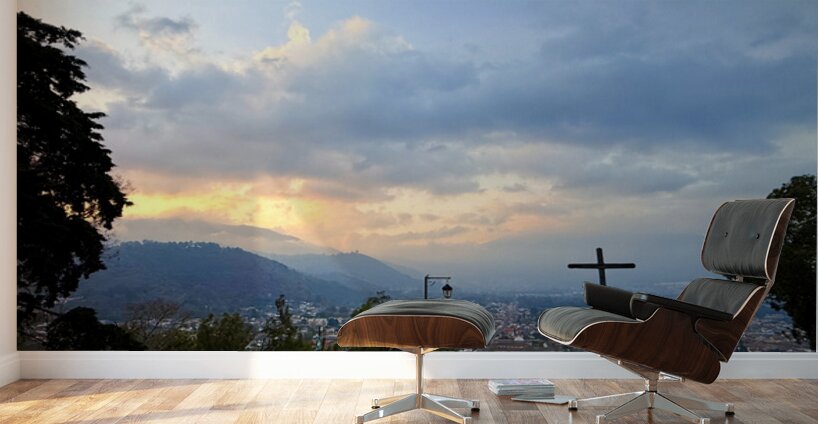 IMG 0505 Wall Murals