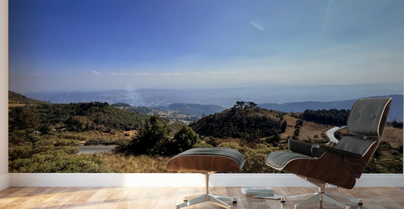 IMG 9684 Wall Murals