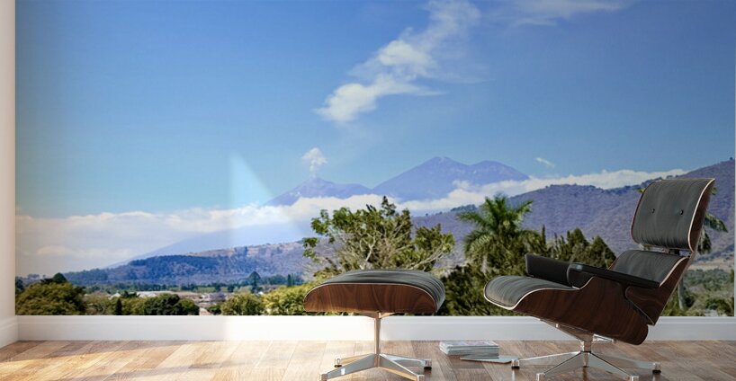 IMG 0160 Wall Murals