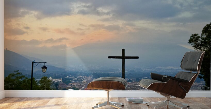 IMG 0503 Wall Murals