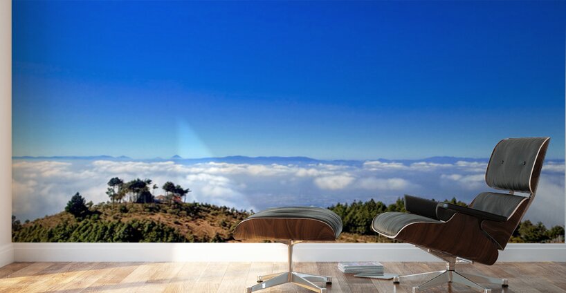 IMG 9134 EDIT Wall Murals