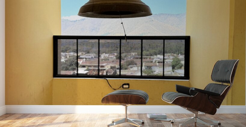 IMG 0181 Wall Murals