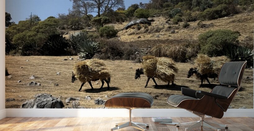 IMG 9558 Wall Murals