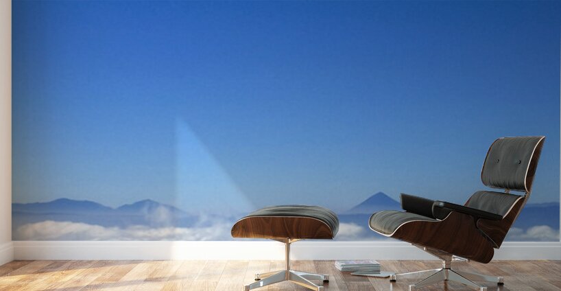 IMG 9130 Wall Murals