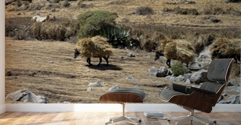 IMG 9556 Wall Murals