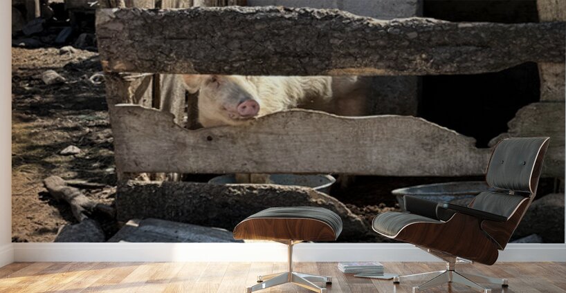 IMG 9517 Wall Murals