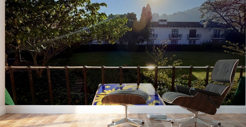 IMG 0019 Wall Murals