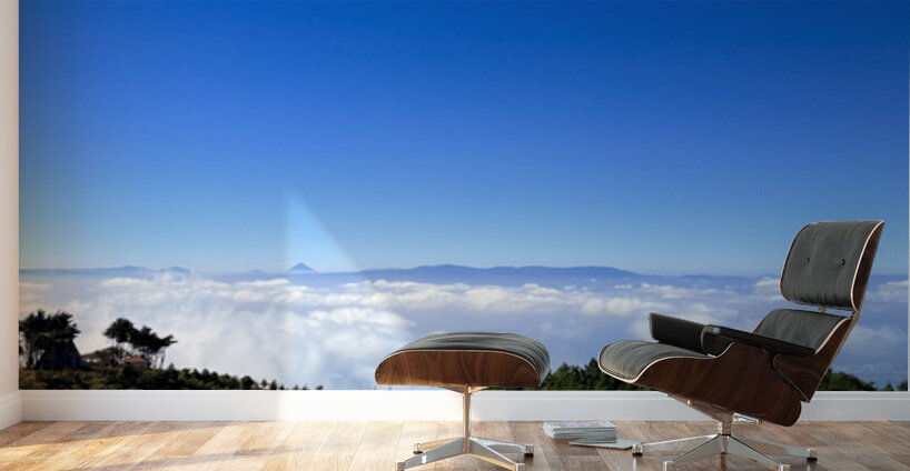 IMG 9128 Wall Murals