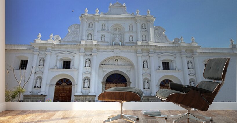 IMG 0284 Wall Murals