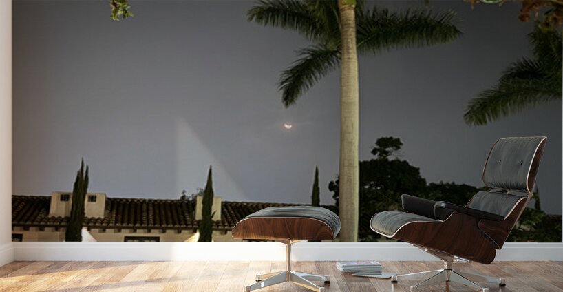 IMG 0437 Wall Murals