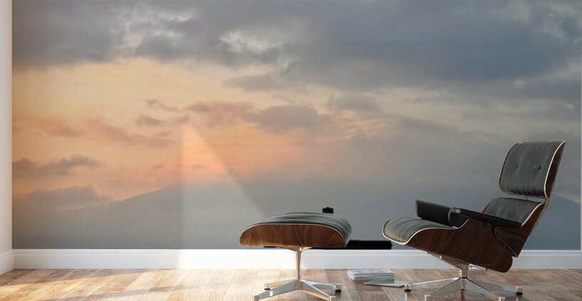 IMG 0502 Wall Murals