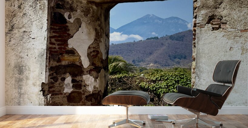 IMG 0101 Wall Murals