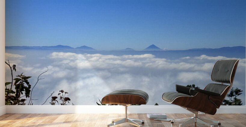 IMG 9140 Wall Murals