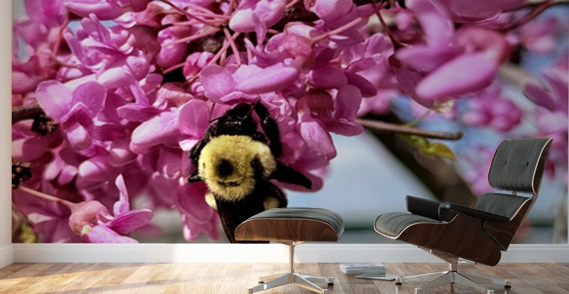 IMG 1570 Wall Murals