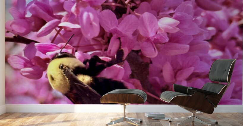 IMG 1670 Wall Murals