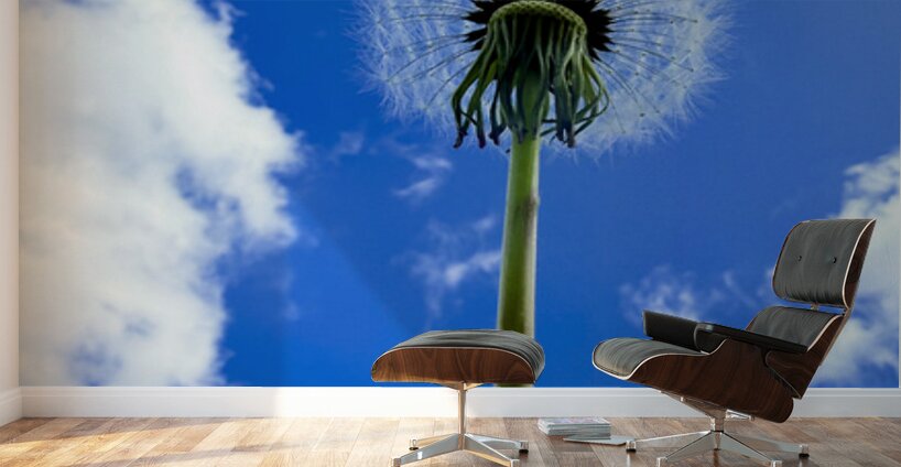 IMG 1759 Wall Murals