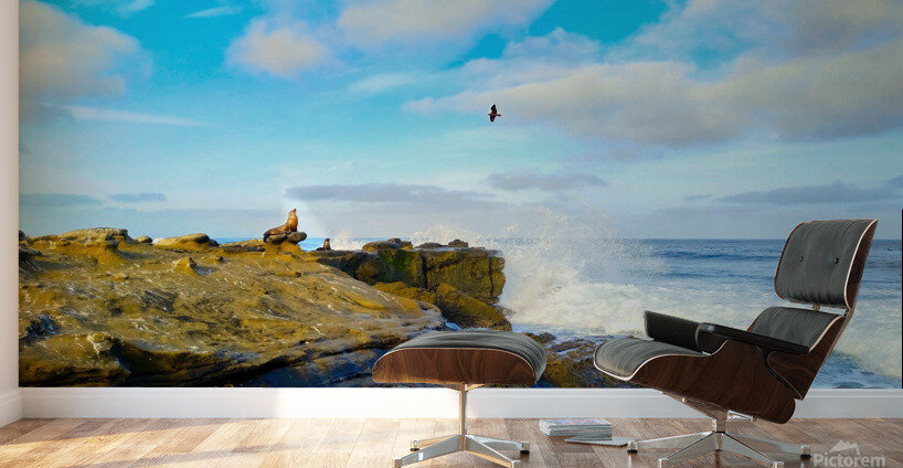 Seal Meditation 2 Wall Murals