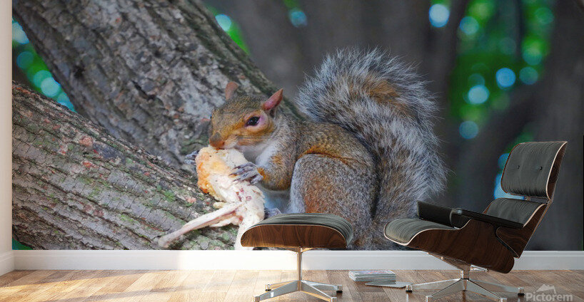 Tastes Like Chicken...Because it IS Wall Murals