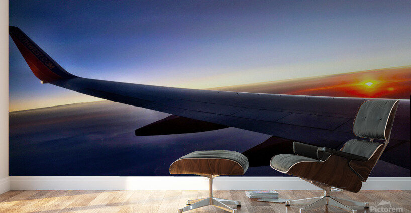Flying into the Sunset Wall Murals