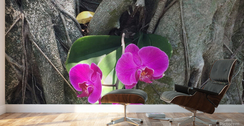 Natural Orchid 1 Wall Murals