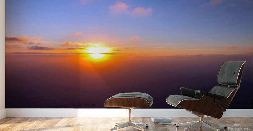 Into the Horizon Wall Murals