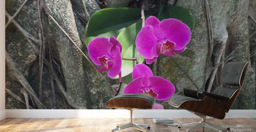 Natural Orchid 1B Wall Murals