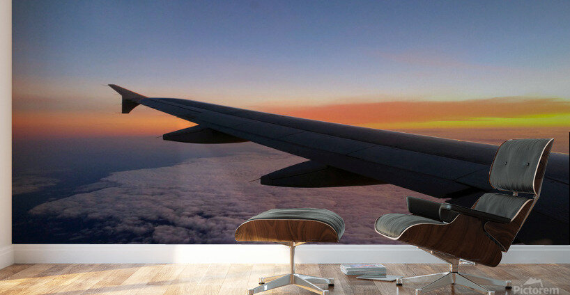 Flying into the Sunset 3 Wall Murals