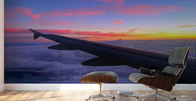 Flying into the Sunset 4 Wall Murals
