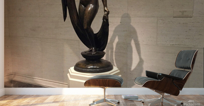 Museum Reflections 3B Wall Murals