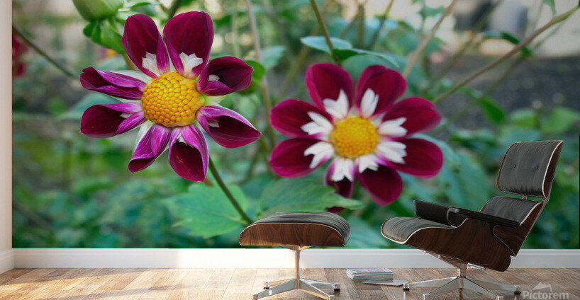 Flower Bloom 5 Wall Murals