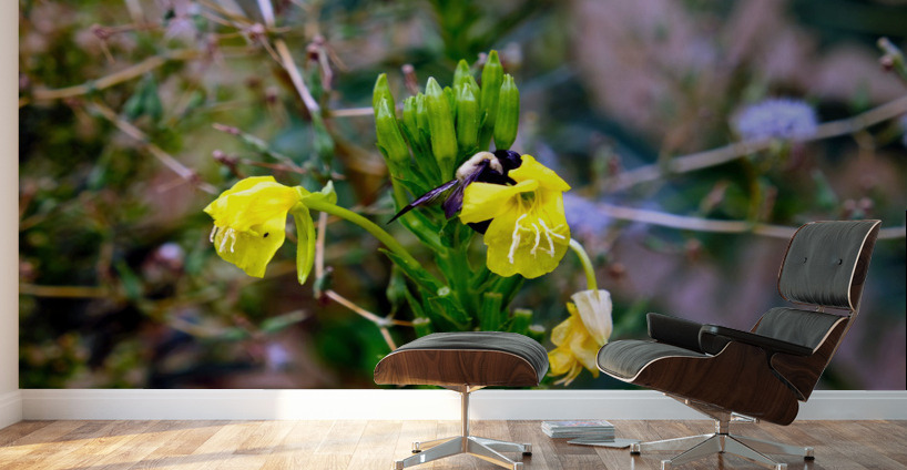 To Bee or Not to Bee  3   -- The Struggle Is Real Wall Murals