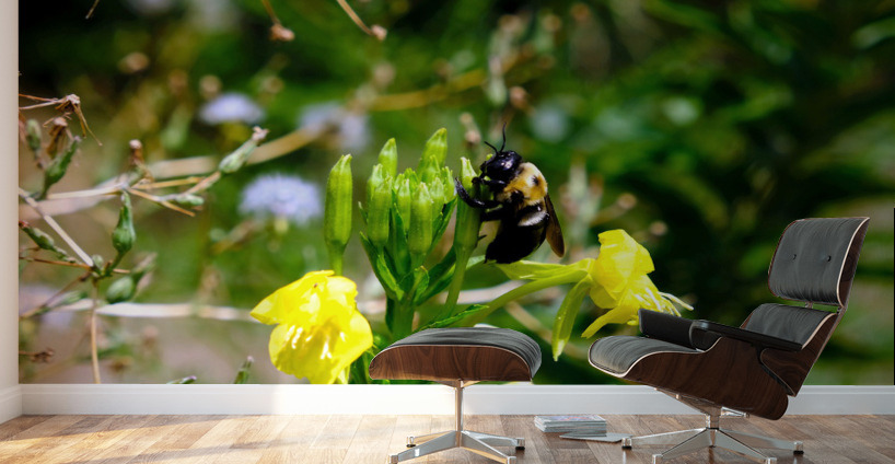 To Bee or Not to Bee  -- Early Bee Gets the Pollen Wall Murals